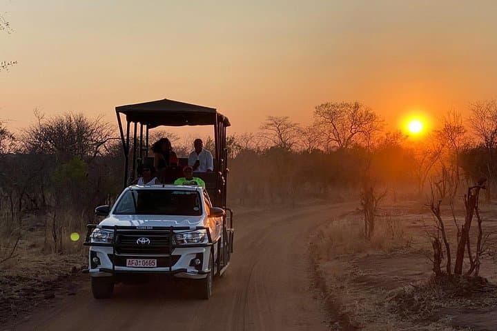 Baobab Safari in Victoria Falls National Park — 2-Hour Wildlife Drive photo 1