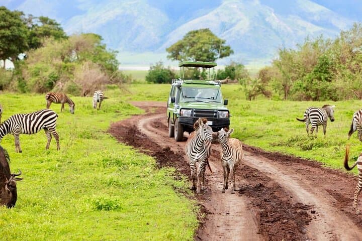 4-Day Camping Safari: Tarangire, Serengeti & Ngorongoro Crater photo 5
