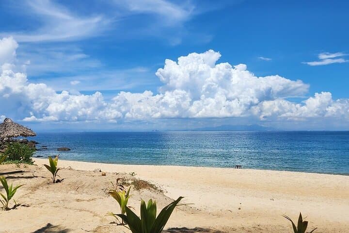 Cham Islands Snorkeling Day Trip from Hoi An — Ocean Discovery photo 4