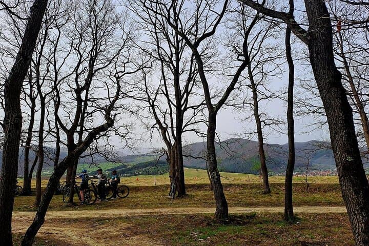 E-Bike Guided Tours in Sâmbăta de Sus — Făgăraș Mountains E-Biking photo 3