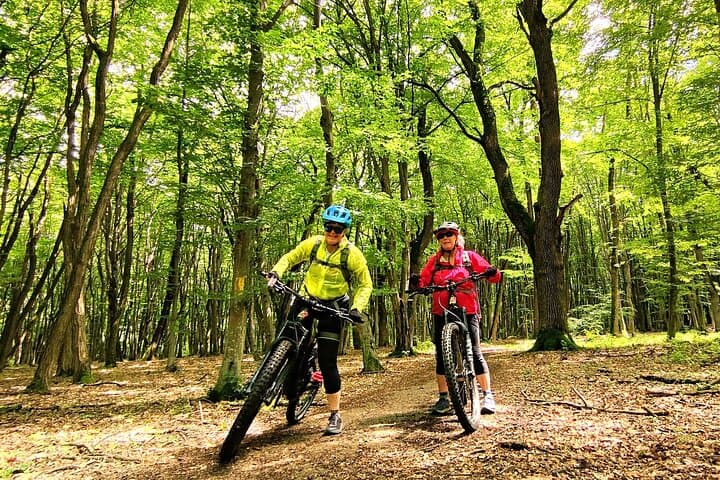 E-Bike Guided Tours in Sâmbăta de Sus — Făgăraș Mountains E-Biking