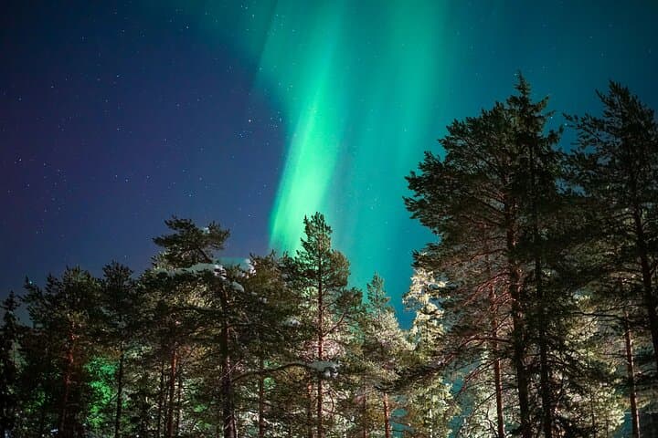 Chasing the Northern Lights: Guided Photo Tour with Pro Camera in Rovaniemi photo 2
