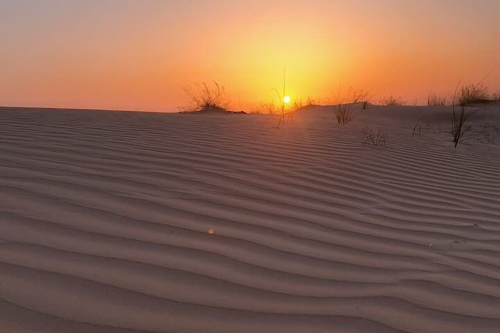 Dubai Evening Desert Safari: Dune Bashing, Sandboarding & Bedouin Dinner photo 5