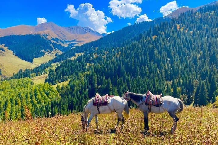 2-Day Horseback & Yurt Adventure: Chon Kemin Rides and Konorchek Canyons photo 6