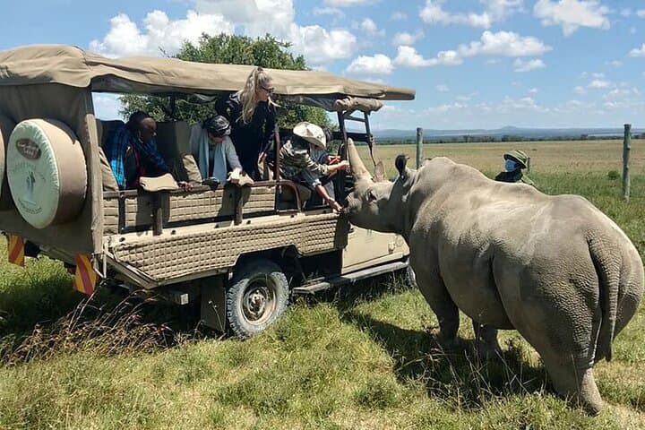 10-Day Best of Kenya Honeymoon Safari: Private 4x4 Roof-Tent Camping Adventure photo 5