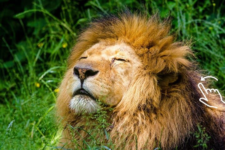 Krakow Zoo Tour with Hotel Transfer — Family-Friendly Visit