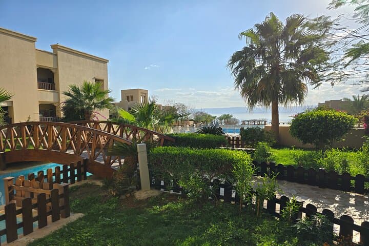 Float and Recharge: 1-Night Dead Sea Escape from Amman photo 6