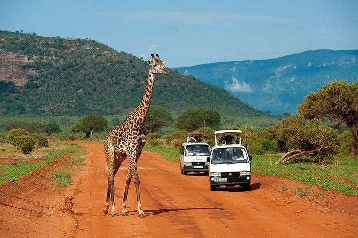 Overnight Maasai Mara Safari: 2-Day Game Drives & Lodge Stay from Nairobi photo 3