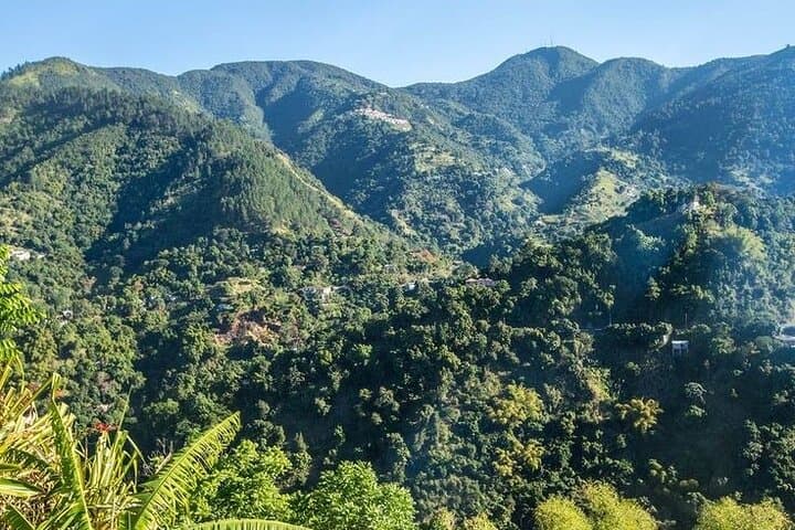 Full-Day Blue Mountains Hike from Kingston: Trails, Views & Local Coffee photo 3