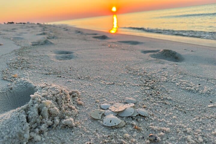 Wildlife in Navarre, Florida