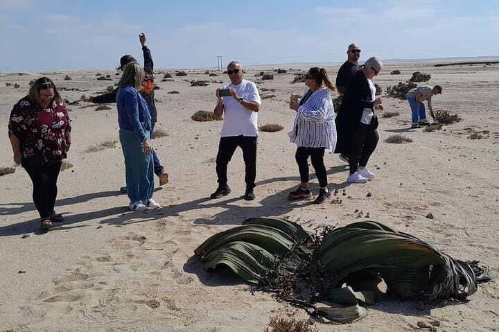 Walvis Bay to Dune 7: Namib Desert Day Tour — Moon Landscape, Lagoon & Pelican Point photo 2