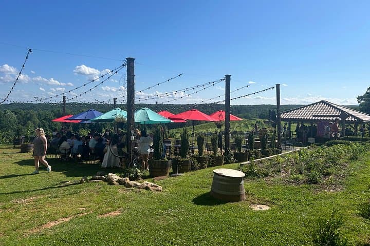 Dahlonega Wine & Dine Day Trip from Atlanta — Private Chauffeur & Mountain Tastings photo 3