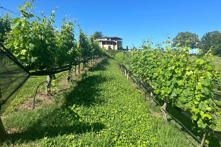 Dahlonega Wine & Dine Day Trip from Atlanta — Private Chauffeur & Mountain Tastings photo 4