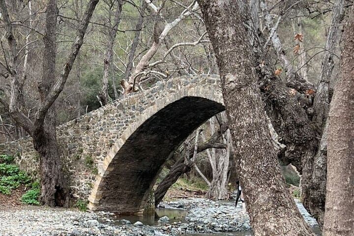 Troodos Mountains Jeep Tour with Wine Tasting from Paphos photo 5