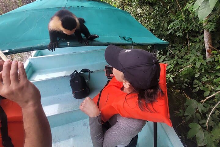 Gamboa Sloth Sanctuary and Monkey Island: Half-Day Wildlife & Canal Boat Tour photo 2