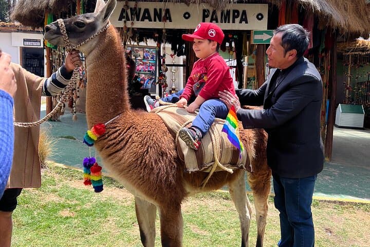 Andean Camelids & Andean Ceremony in Cusco: Textiles, Medicinal Bath, and Culture photo 6