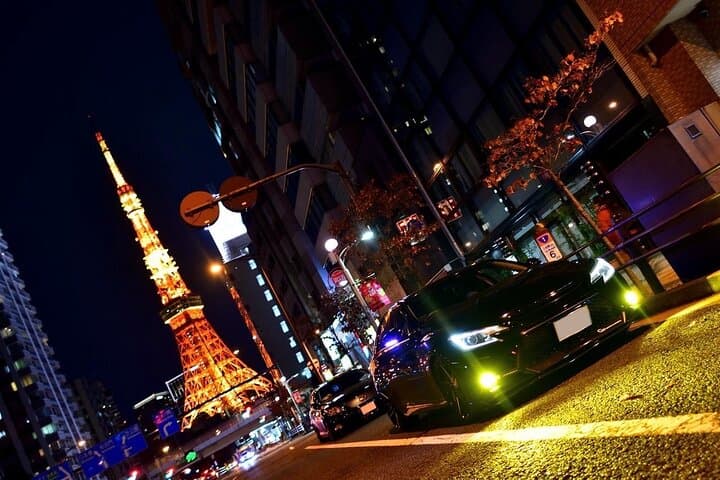 Tokyo Twilight Expedition Car Tour: Night Drive Across Rainbow Bridge, Odaiba & Tokyo Tower photo 2