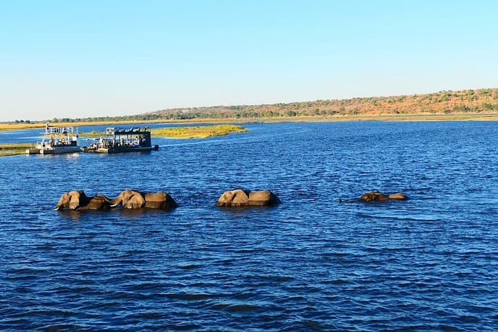 South Africa, Botswana and Zimbabwe: 7-Day Wildlife Safari and Victoria Falls Adventure