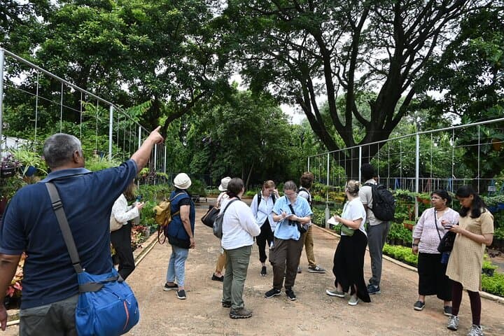 Lalbagh Garden Afternoon Walk & VV Puram Food Street: Botanical Stroll and Street-Food Evening in Bangalore
