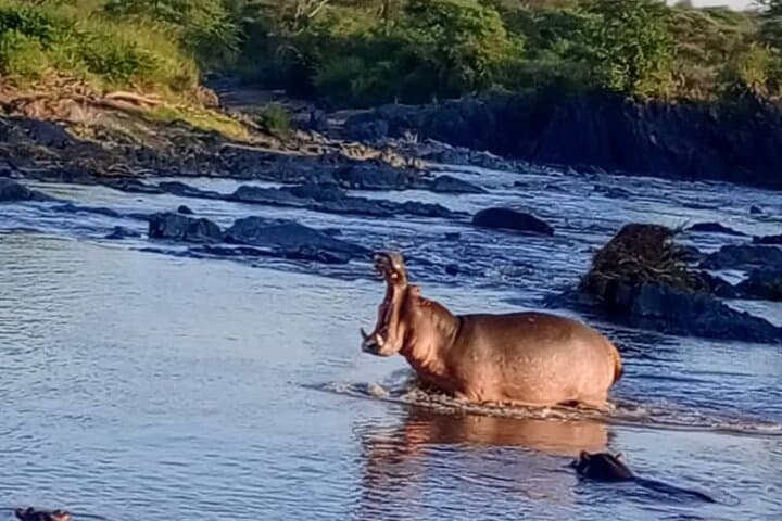 8-Day Private Serengeti Safari: Big Five, Great Migration & Ngorongoro Crater photo 3