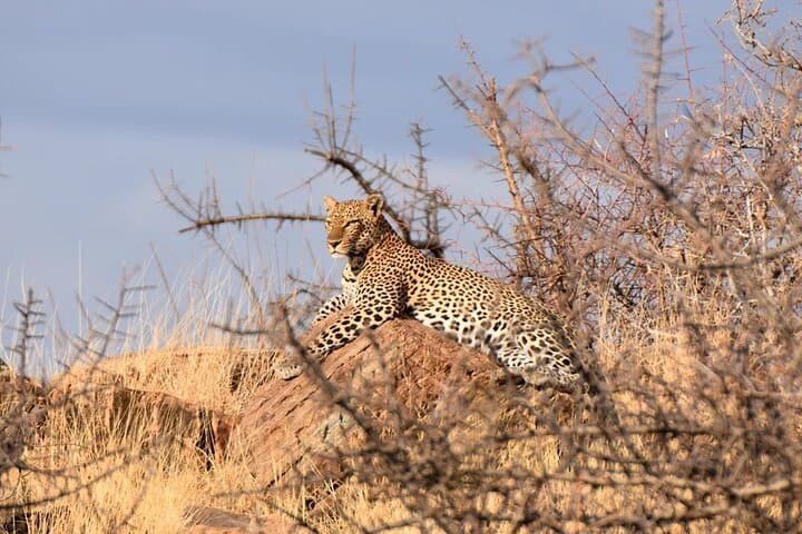 Private 7D6N Rivals of the Savannah: Kenya Safari from Nairobi to Masai Mara photo 5