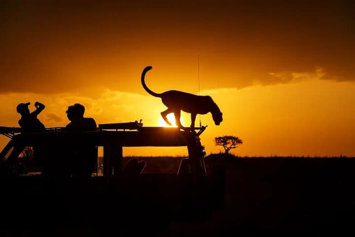 Private 7D6N Rivals of the Savannah: Kenya Safari from Nairobi to Masai Mara