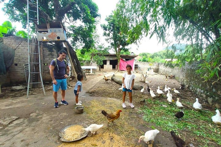 Luxury Day Trip to Hoa Lu, Tam Coc & Mua Cave from Hanoi photo 6