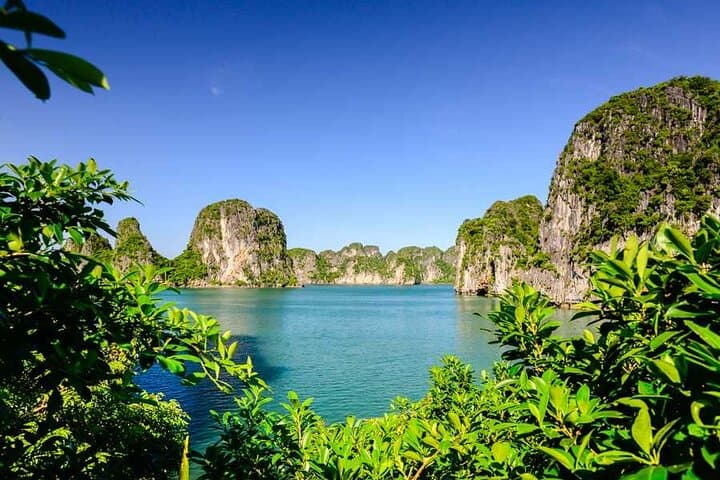 Ninh Binh to Bai Tu Long Bay: 2-Day Tam Coc, Mua Cave & Bai Tu Long Cruise photo 6