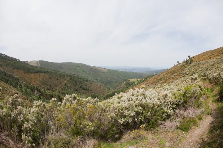 Private Nature and Village Hike in Aigra Nova: Hidden Portugal Hike photo 6