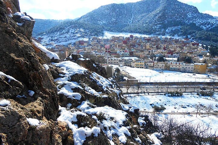 Middle Atlas Day Trip from Fes: Cedars, Ifrane & Berber Villages photo 2