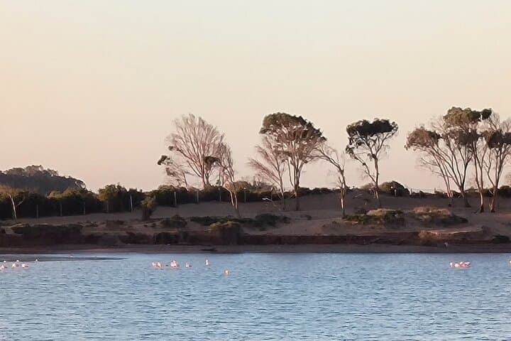 Private Mini Sahara Tour from Agadir: Dune Bashing & Berber Lunch photo 5