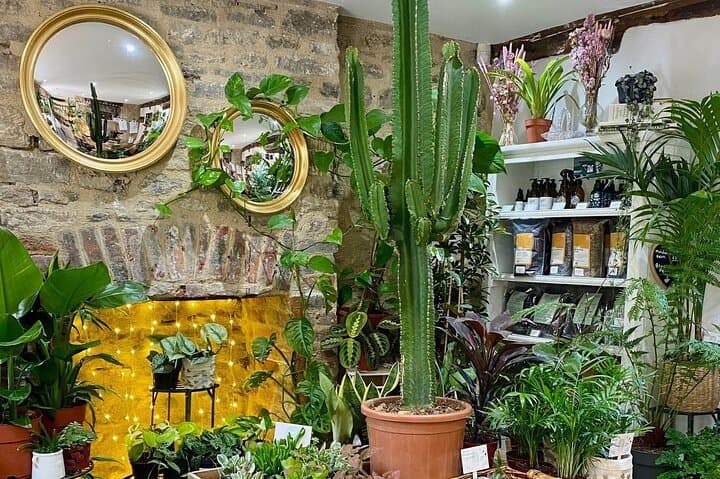 Make-Your-Own Terrarium Workshop in Cirencester — Cotswold Glass Garden Craft photo 2