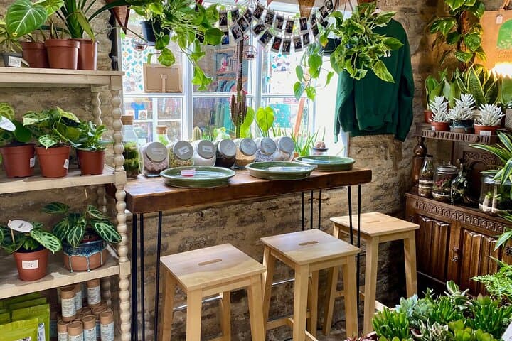 Make Your Own Succulent Bowl: Hands-On Plant Workshop in Cirencester photo 2