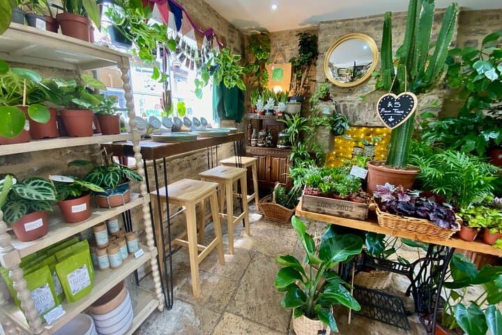 Make Your Own Succulent Bowl: Hands-On Plant Workshop in Cirencester photo 3