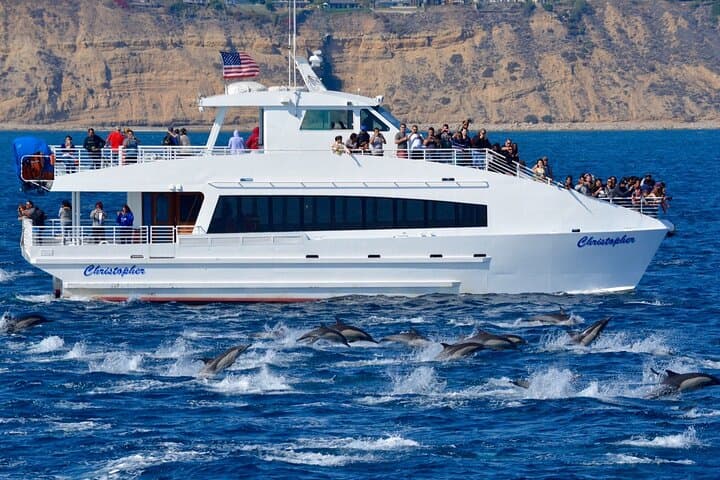 Long Beach Whale Watching: Guided Marine Wildlife Cruise from Dock 2 photo 6