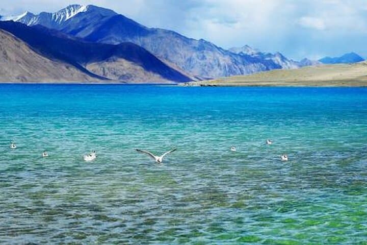 Overnight Pangong Lake Tour from Leh with Thiksey & Hemis Monasteries photo 3