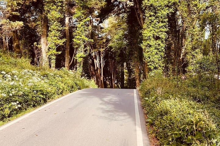Lisbon Private Road Cycling Tour — Sintra, Cabo da Roca & Coastal Rides photo 2