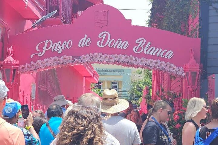 Puerto Plata Historic Town & Countryside Shore Excursion — Amber Cove to Taino Bay photo 2