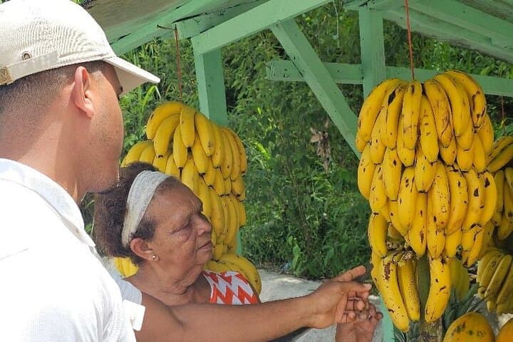 Puerto Plata Historic Town & Countryside Shore Excursion — Amber Cove to Taino Bay photo 3