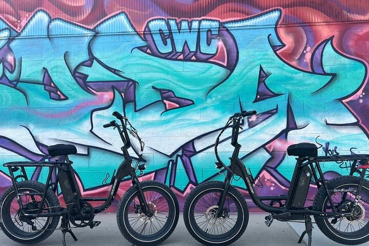 Asheville electric bike rentals with free delivery — ride the French Broad and Blue Ridge photo 3