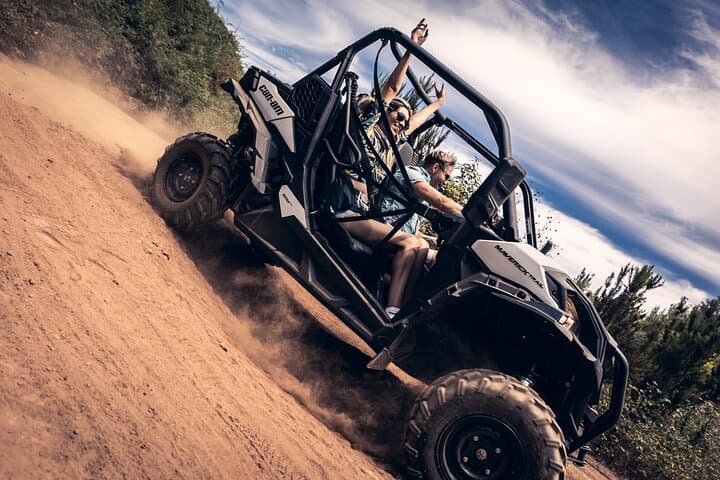 Guided Buggy Tour Around Mount Teide: Off-Road Adventure from Costa Adeje photo 5