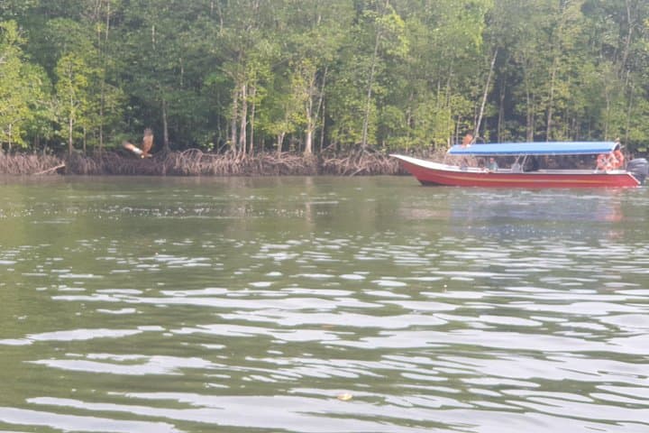 Langkawi Private Mangrove & Waterfall Tour: Kilim River Cruise, Tanjung Rhu & Durian Perangin photo 1