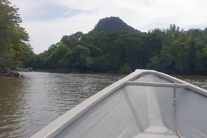 Langkawi Private Mangrove & Waterfall Tour: Kilim River Cruise, Tanjung Rhu & Durian Perangin photo 2