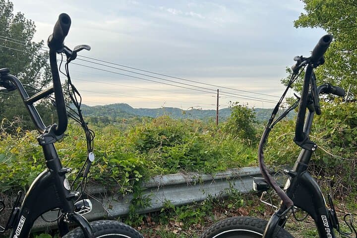 Explore Asheville’s River Arts and Mountains: Guided E-bike Tour Adventure photo 2