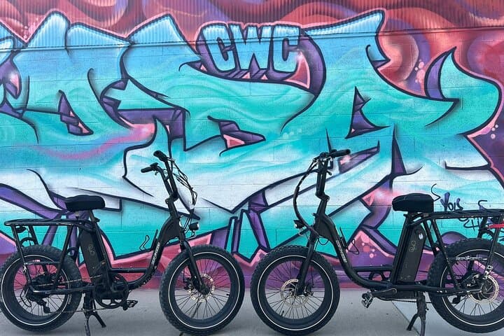Explore Asheville’s River Arts and Mountains: Guided E-bike Tour Adventure photo 3