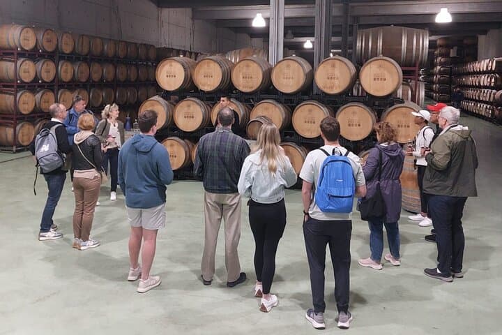 Douro Valley Best-Of Private Tour — Custom Wine, Scenic Drive & Tasting from Porto photo 5