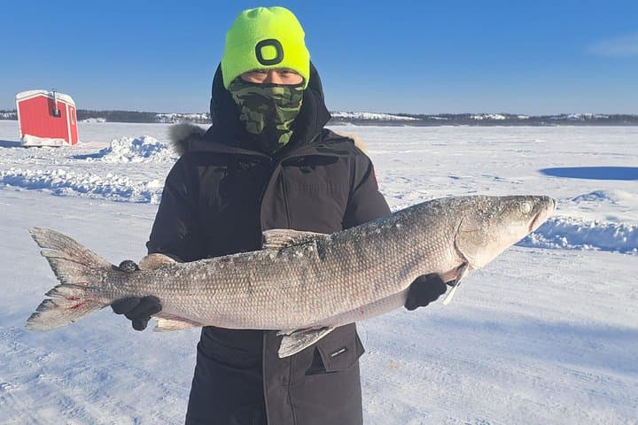 Ultimate Ice Fishing on Great Slave Lake — Yellowknife Day Trip with Lunch