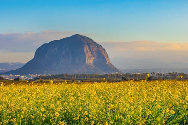 Explore Jeju Island’s Natural and Cultural Riches on a Private Two-Day Guided Tour photo 6