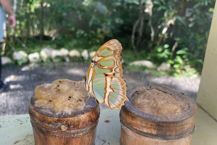 Gamboa Eco Adventure: Gatun Lake Boat Tour, Cable Car & Sloth Sanctuary photo 3