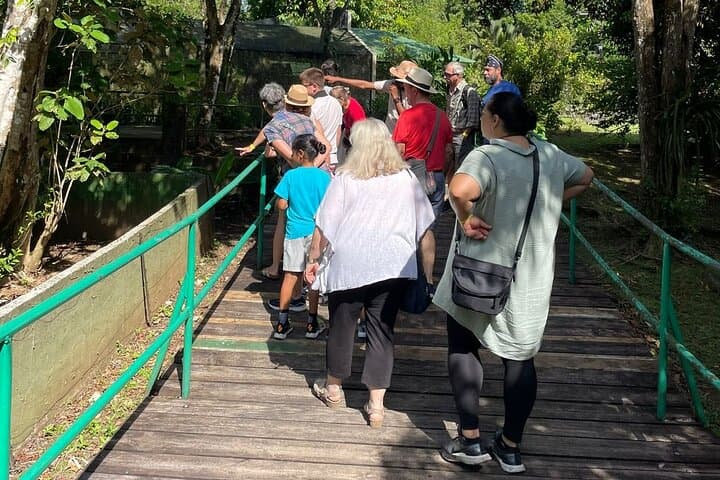 Gamboa Eco Adventure: Gatun Lake Boat Tour, Cable Car & Sloth Sanctuary